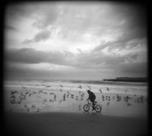 I was on Main Beach the other day during a brief break in the rain. A few surfers were out in the water, beach combers were picking out the choice pieces of drift wood, a runner or two along the water's edge and this guy on his little bike chasing seagulls.