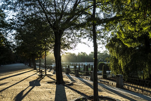 I'm just back from four weeks in Spain! This is early morning Parque Del Buen Retiro in Madrid.