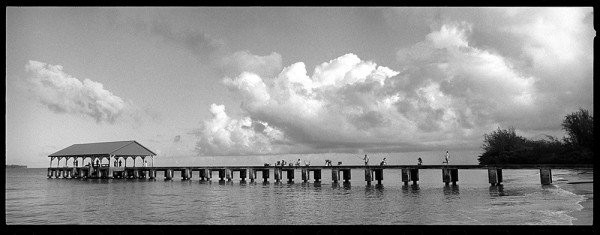 The pier is another go to morning spot. There's a hardcore group of older people fishing every morning. 