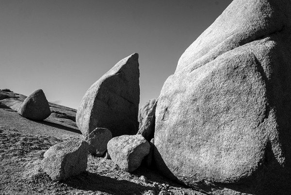 Uplift and erosion. There are rock formations of all shapes and sizes scattered around the park. 