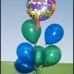 May 6, 2008, Sixteen is a landmark birthday, the driver's license birthday! HAPPY BIRTHDAY COOPER!!!
