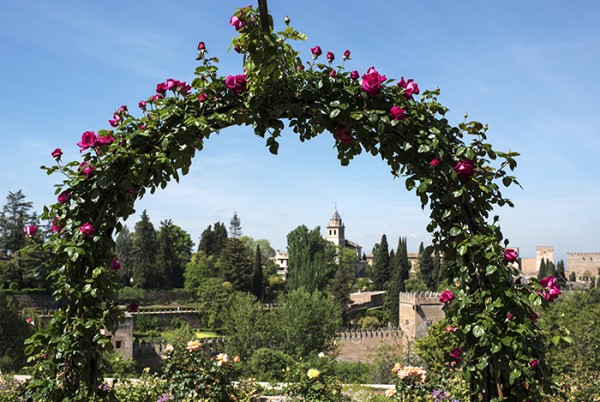 A small part of The Alhambra! 