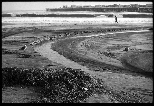 I liked the general winter beach scene. A pile of seaweed, little creek leading to the runner and a wave crashing behind him. As I like to say, "a moment". 