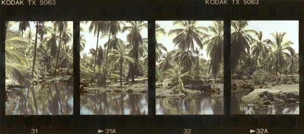 Found this one in one of my storage boxes! Hawaii, Summer, 1994. I made this photo with an Olympus Pen F, half frame camera and Tri-X black and white film. The print was hand colored using Marshall's pencils and paints.